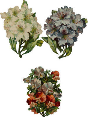 Композиция «Цветочная фантазия». Миниатюра книжная и альбомная. Зап. Европа, конец XIX в.